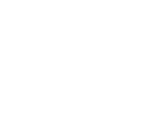 Automaton AI